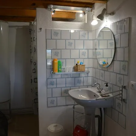 Avec Piscine Privee Pour 5/6 Pers 木屋 Castelgaillard